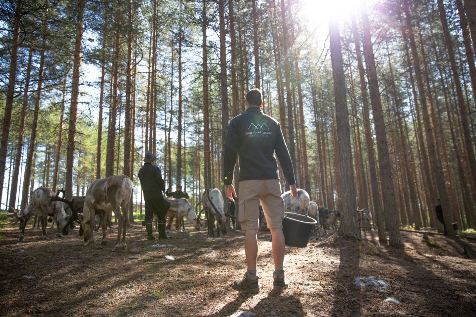 Rovaniemi: Authentic Reindeer Farm & Canoeing - Meeting Point and Transportation