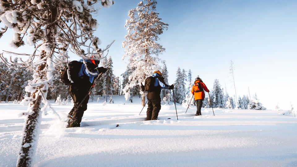 Rovaniemi: Ski Trekking Safari in Lapland - Included Equipment and Gear