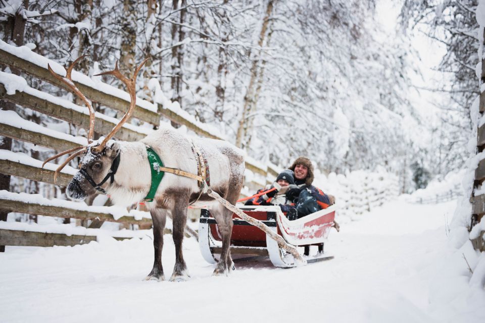 Rovaniemi: Snowmobile Tour and Reindeer Farm Experience - Important Information to Know