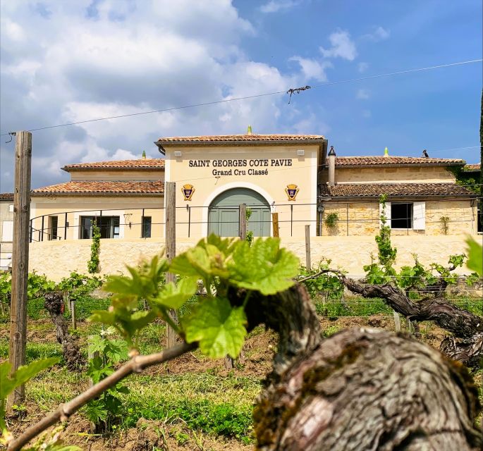 Saint-Émilion: Bordeaux Vineyard Tour and Wine Tasting - Grape Varieties and Unique Soil