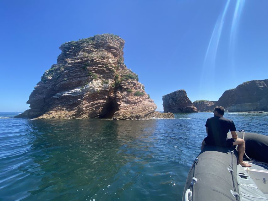 Saint-Jean-De-Luz, Basque Country: Boat Tour Along the Coast - Age and Mobility Restrictions