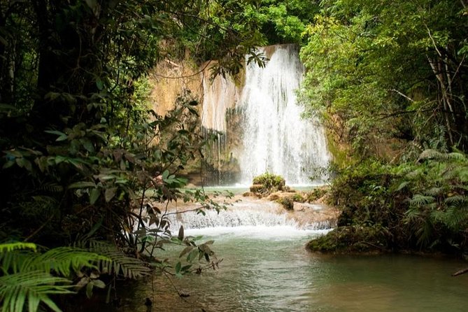 Samana: Bacardi Island and El Limon Waterfall - Considerations for Health and Fitness