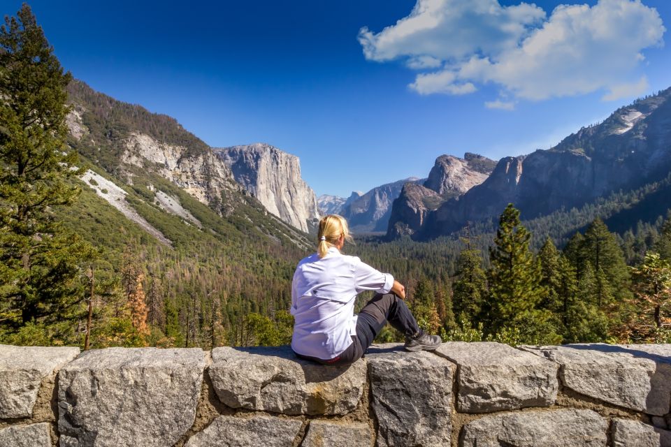 San Francisco To/From Yosemite National Park: 1-Way Transfer - Departure Frequency and Flexibility