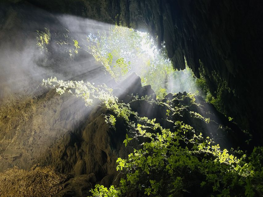 San Juan: Camuy Caves Experience Tour With Pickup & Drop-Off - Encountering Elusive Cave Critters