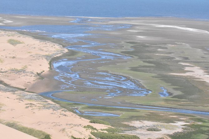 Sandwich Harbour Adventure: Seals and Sandwich Harbour Dune Drive - Guided Wetlands Exploration