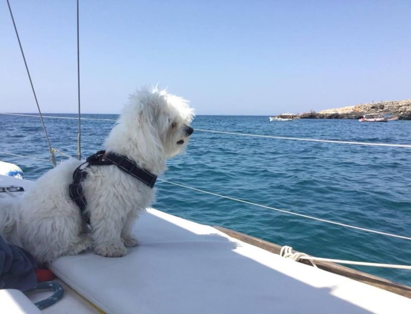 Santa Maria Di Leuca: Sailing Trip With Lunch - Experienced Skipper and Sailor/Chef