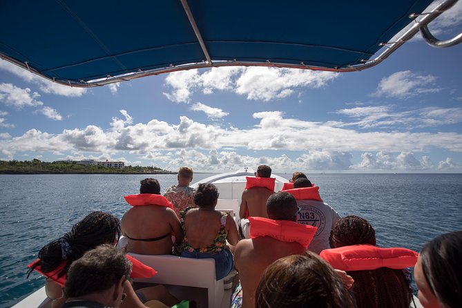 Saona Island Day Trip From Punta Cana With Lunch and Open Bar - Lunch and Open Bar