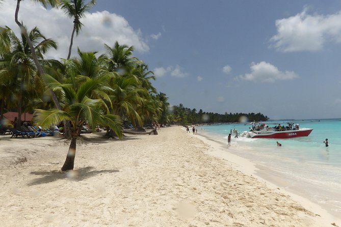 Saona Island Full Day - Transportation and Logistics