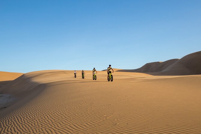 Scenic Desert Tour by Bike - Eco-friendly Adventure Experience