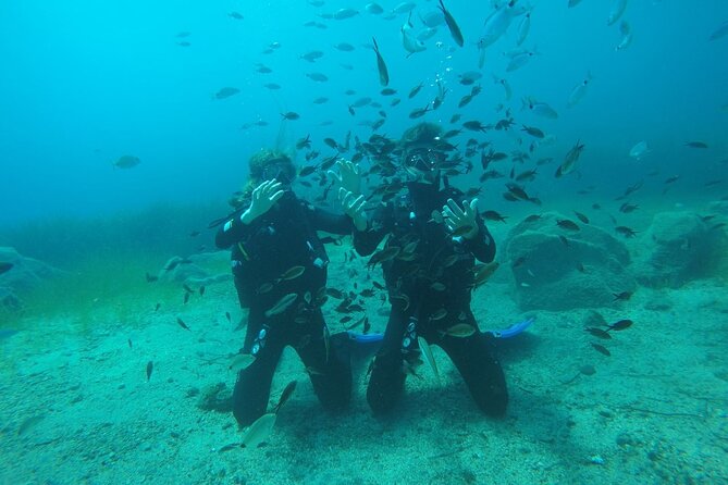 Scuba Diving Experience in Santorini - Traveler Recommendations and Restrictions