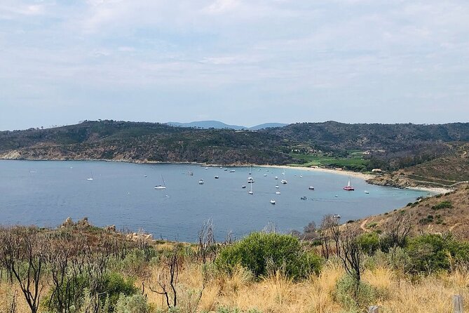 Sea Kayaking in the Heart of the Ramatuelle Nature Reserve - Snorkeling and Swimming Opportunities