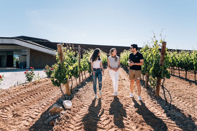 Segovia & Ribera Del Duero Winery With Wine Tasting From Madrid - Alcázar and Cathedral