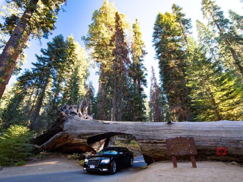 Sequoia & Kings Canyon: Self-Guided Audio Driving Tour - Inclusions and Exclusions