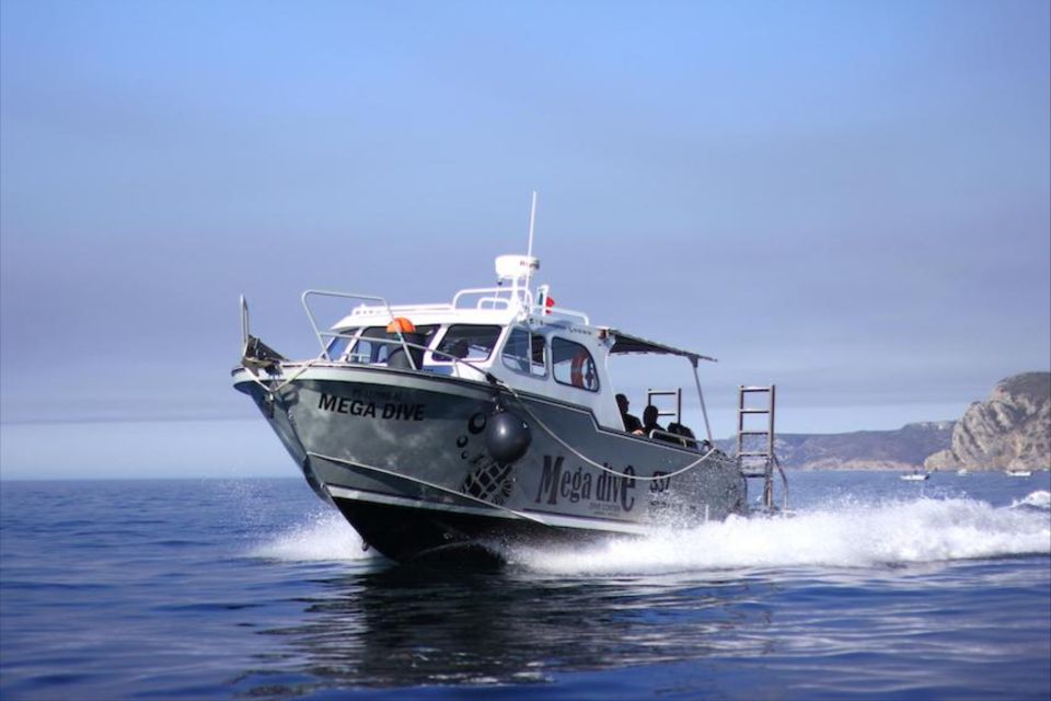 Sesimbra: Open Water Course - Required and Prohibited