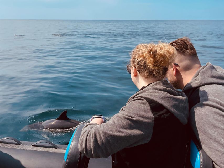 Sesimbra: Private Dolphin Watching Tour Arrábida Natural Park - Duration and Group Size