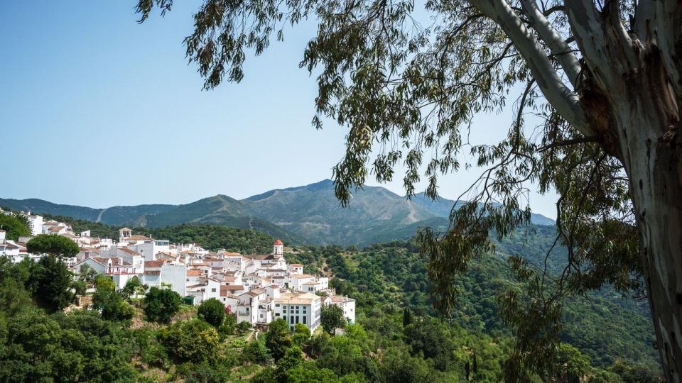 Seville: Enchanting White Villages & Ronda Exploration - Cancellation Policy