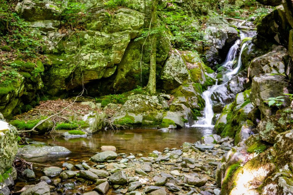 Shenandoah National Park: Self-Driving Audio Guide - Visitor Center and Gift Shop