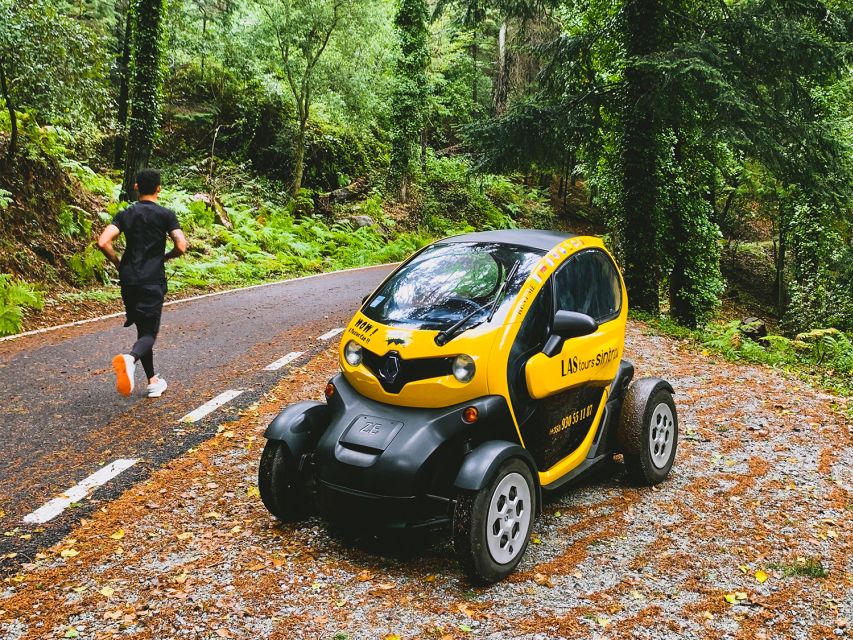 Sintra: 4 MAJOR Monuments Tour E-Car Com GPS Audio Guide - Palace and Park of Monserrate