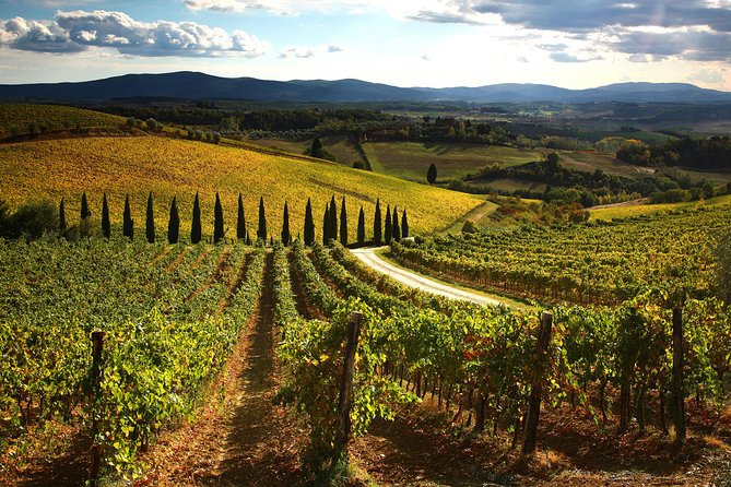 Small-Group Chianti Trip With Wine Tasting From Siena - Medieval History and Castles