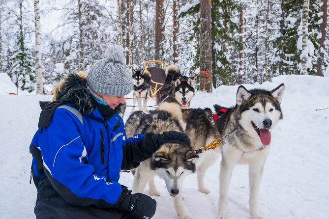 Small-Group Husky Mushing Experience in Rovaniemi - Snowy Adventure With Huskies