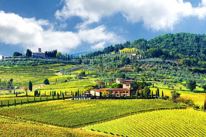 Small Group Pisa Day Trip to Siena and San Gimignano Including Wine Tasting - Additional Details