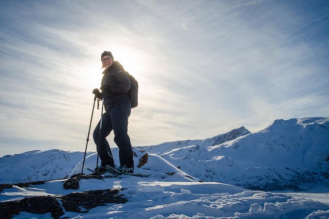 Small-Group Snowshoeing Tour From Tromso - Trekking Through the Arctic