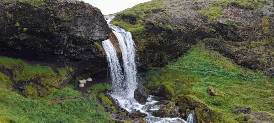 Snaefellsnes Peninsula Private Tour From Reykjavik - Coastal Seal Colony