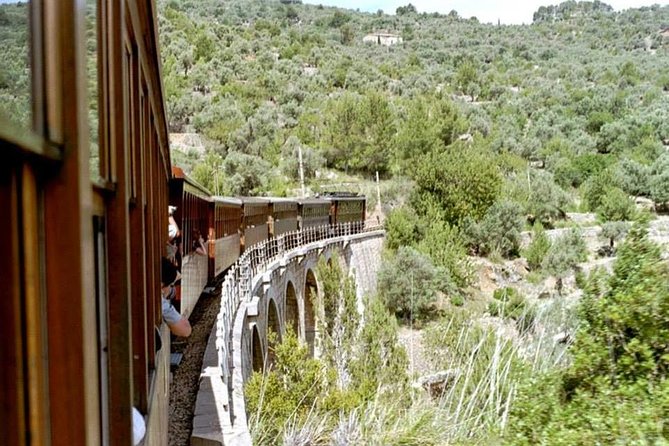 Soller Port With Train and Tram Mallorca Half Day Trip - Why Book This Tour