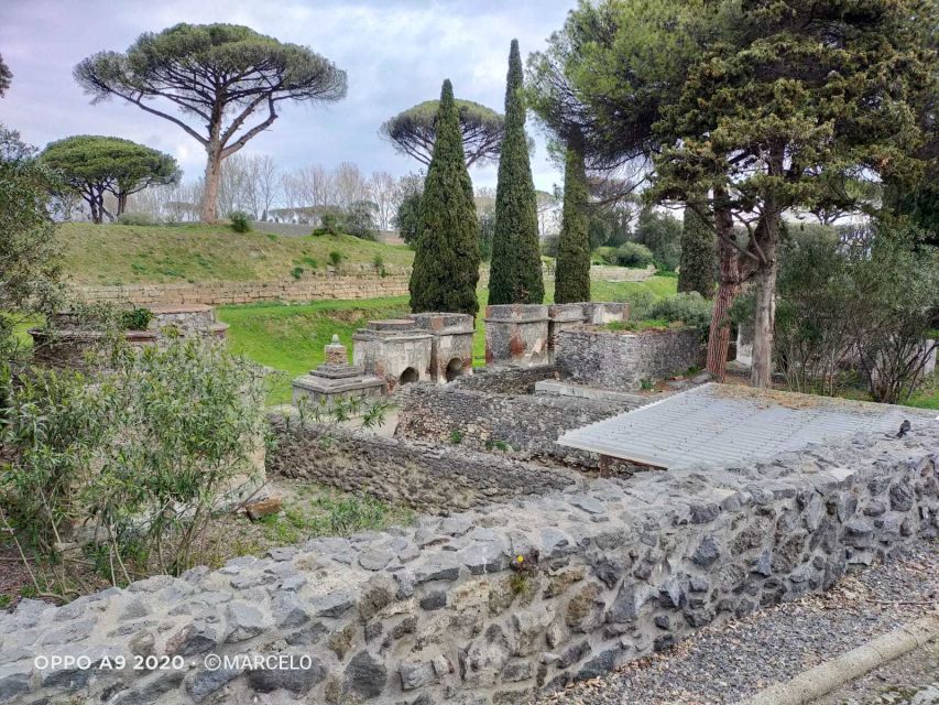 Sorrento: Half-Day Pompeii Tour With Official Guide - Tour Highlights