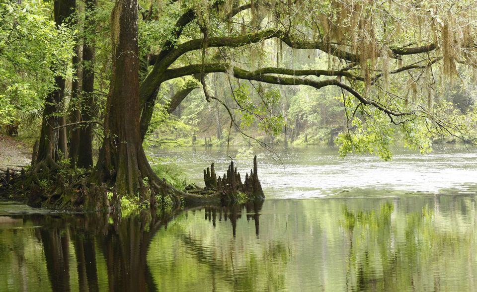 South Beach: Everglades Wildlife Airboat Tour - Booking and Cancellation