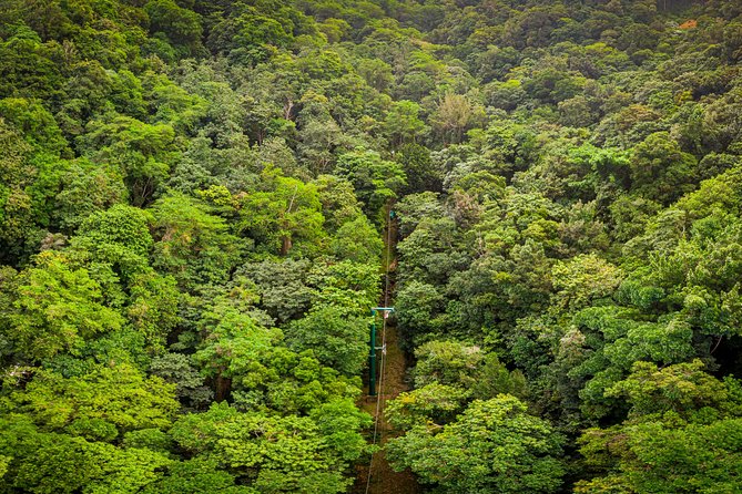 St. Lucia Aerial Tram Tour at Rainforest Adventures - Additional Information and Policies