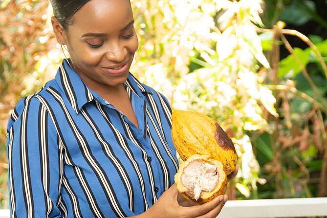 St. Lucia Botanical Gardens and Waterfall Tour Groups Only - Relaxing in Mineral Baths