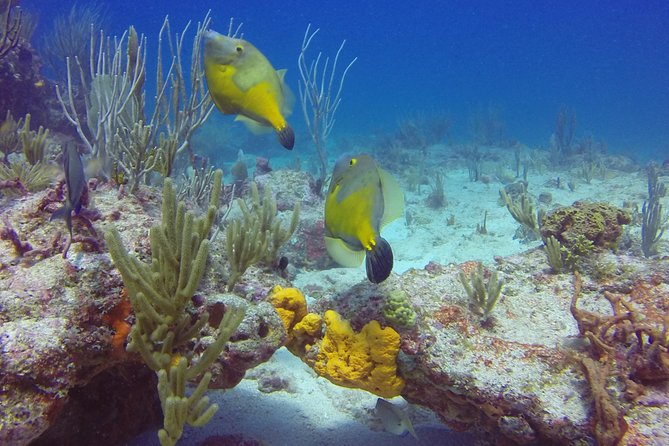 St Maarten Discover Scuba - Restrictions on Flying After Diving