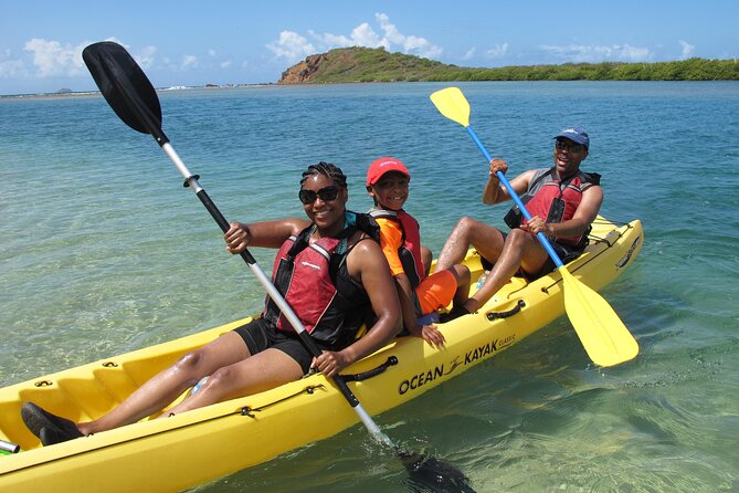 St Thomas Mangrove Lagoon Kayak and Snorkel Tour in the US Virgin Islands - Reviews and Ratings