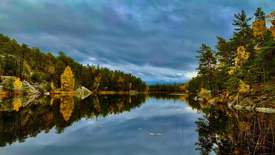 Stockholm: Nature Reserve Hiking Tour With Campfire Lunch - Guided Hike