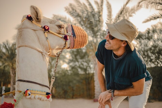 Sunrise/Morning Dune Drive With Camel Trek & Sand Surfing - Refreshments and Inclusions