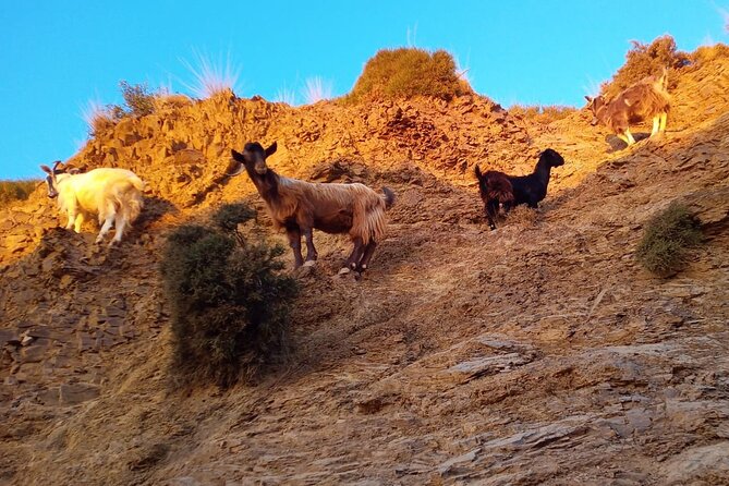 Sunset Jeep Tour in Crete - Practical Tips for Travelers