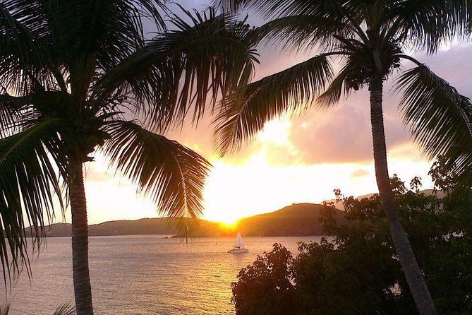 Sunset Sail With Cocktails and Appetizers - Cruise Ship Passengers