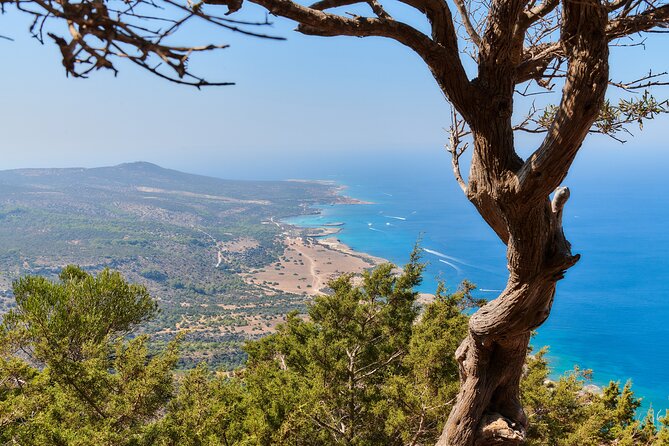 Surf and Turf Full Day Jeep & Boat Combination Tour From Limassol - Explore Avakas Gorge