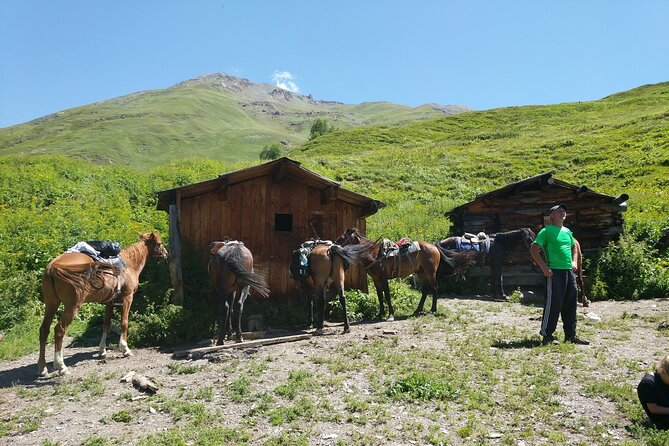 Svaneti Mountain Villages 4x4 Safari, Tour From Kutaisi - Traveler Feedback and Ratings