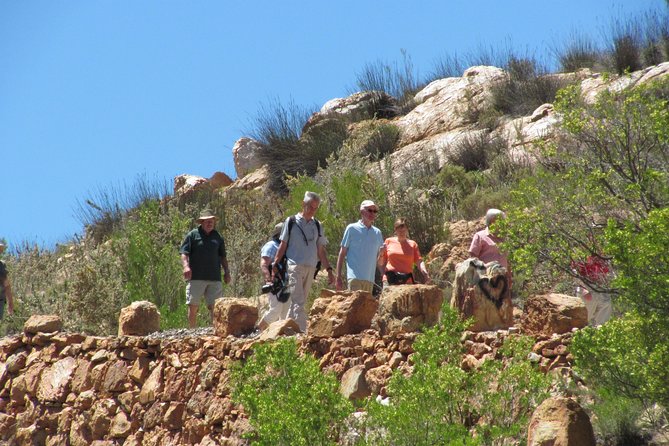 Swartberg Mountain Circular ALL Inclusive PRIVATE Day Tour - Geological Insights