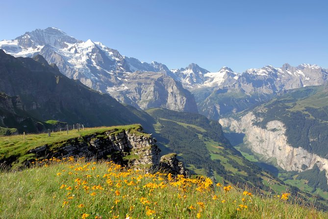 Swiss Alps: Interlaken and Grindelwald Day Trip From Zurich - Cancellation Policy