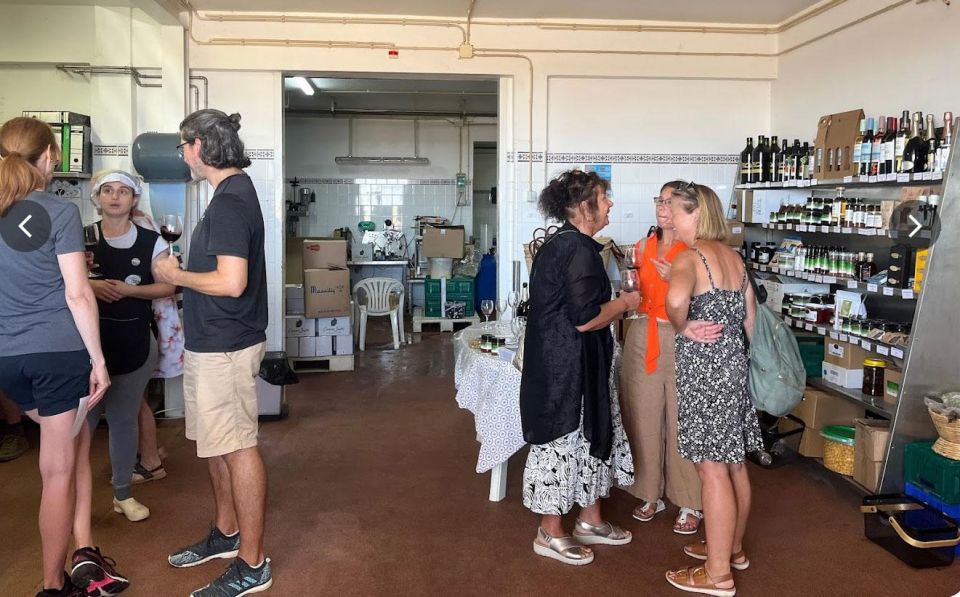 Tavira: Olive Experience With Factory Tour and Tasting - Customer Reviews