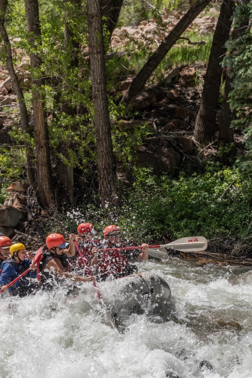 Telluride Whitewater Rafting - Full Day With Lunch - Recommended Attire and Packing List