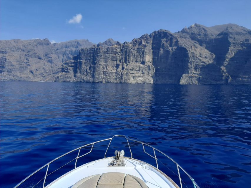 Tenerife: All-Inclusive 2 to 4 Hour Private Motorboat Tour - Booking Options