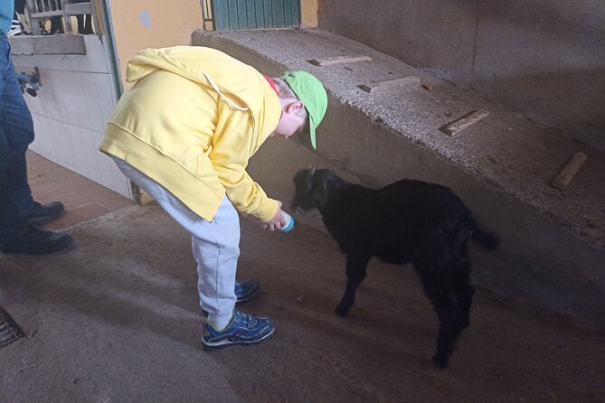 Tenerife Animal Farm Private Car Tour. Canarian Cheese and Wine - Behind-the-Scenes Cheese Making