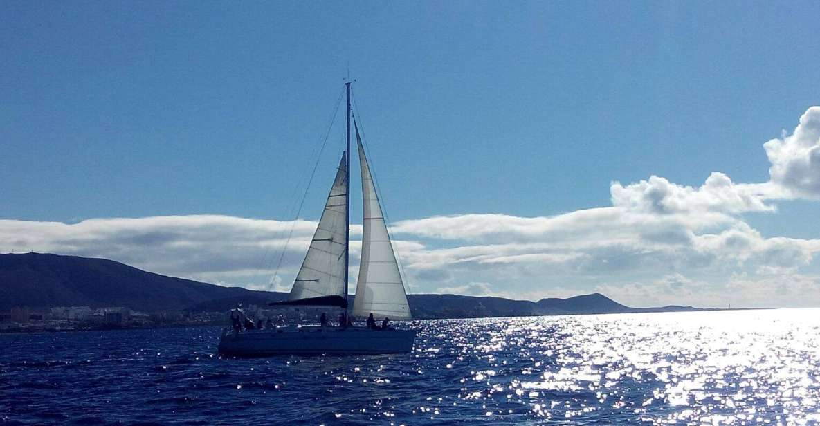 Tenerife: Private or Group 3 Hour Sailing Cruise With Drinks - Meeting Point