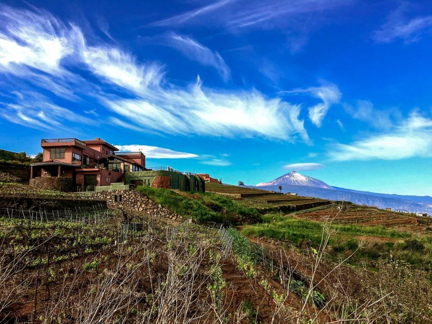 Tenerife Private Tour: Mount Teide Nature and Wine - Pickup and Drop-off Accommodations or Port