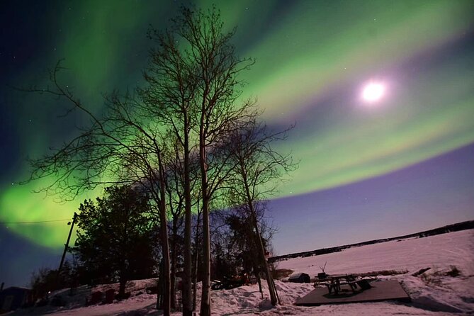 The Best Aurora Tour - Cancellation Policy and Refund Details