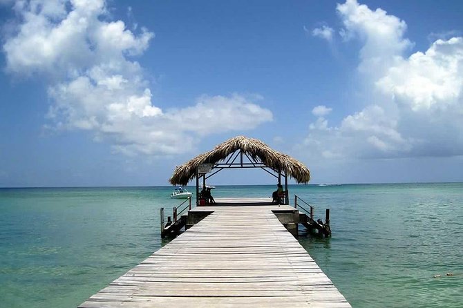 Tobago Buccoo Reef Glass Bottom Boat Tour - Departure and Duration